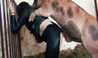 zoo sex
