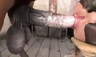 horse xxx