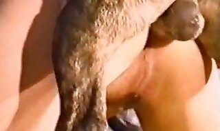 zoo sex