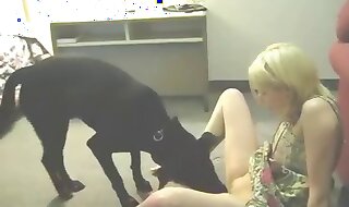 dog porn