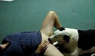 dog porn