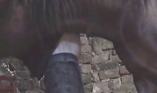 horse xxx