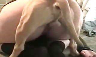 doggystyle hard