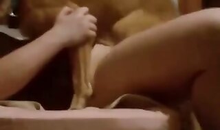 doggy