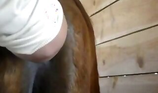 zoo sex