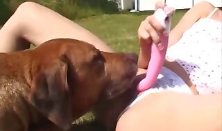 animal porno