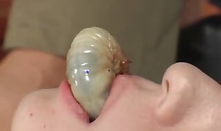 penis