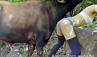 AnimalPorn.Website