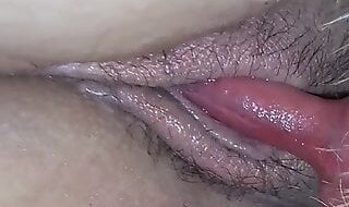 Zoo 2 Tube