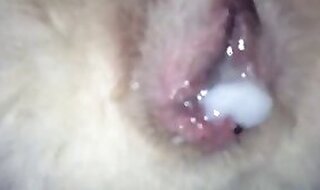 Zoo Sex Tube